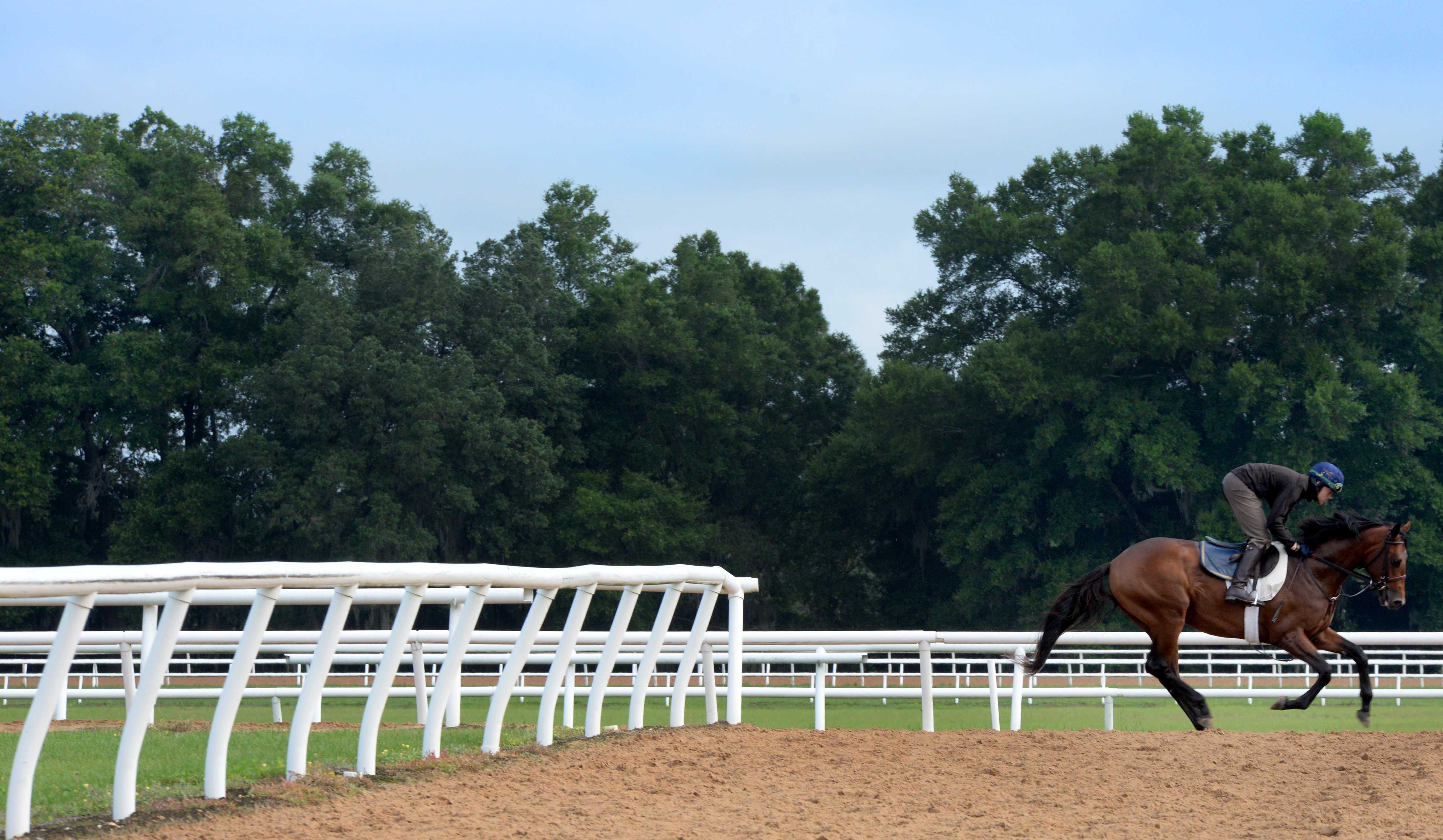 Two-Year-Olds training, Stonestreet Training Center 2015, 2 year old