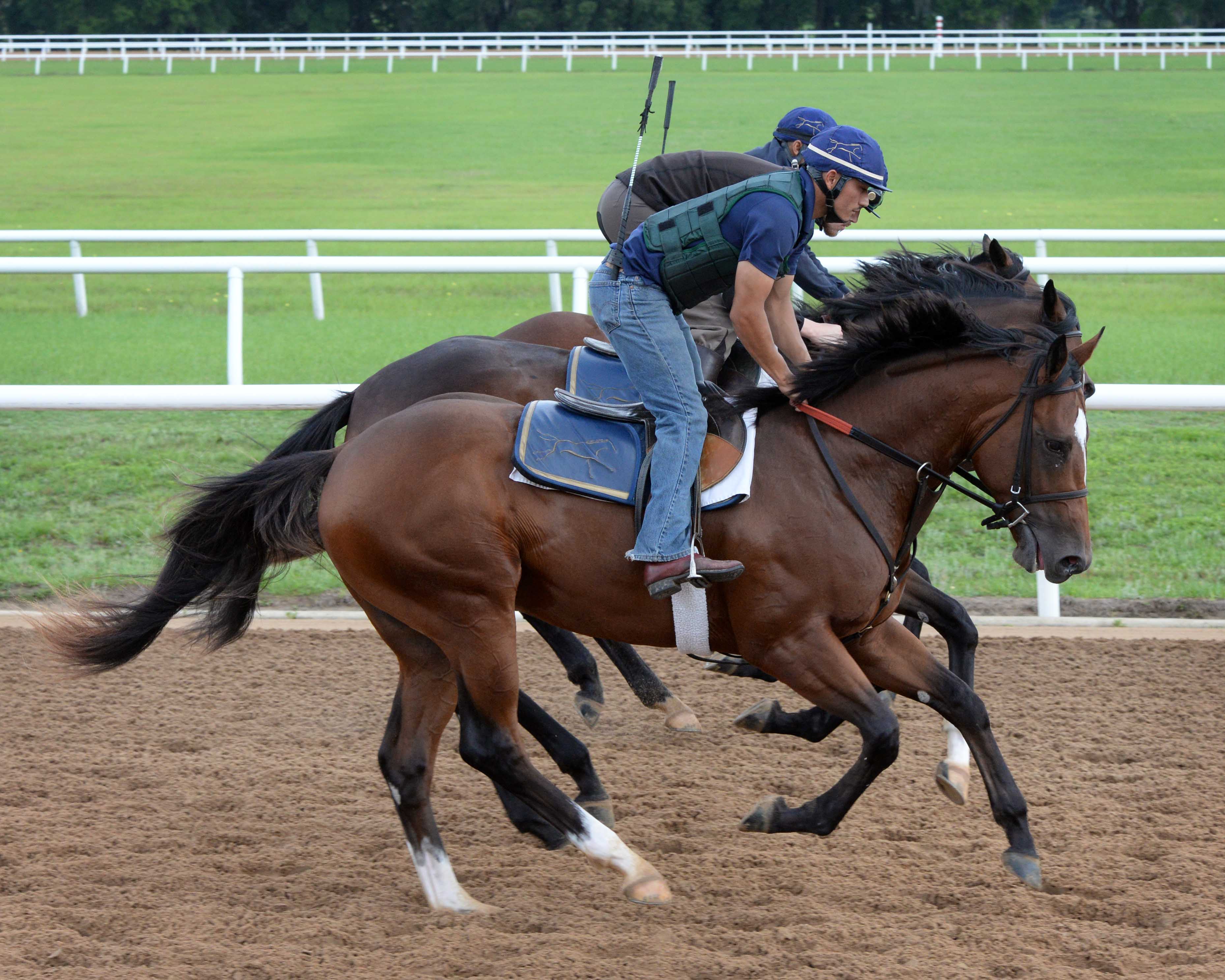 Two-Year-Olds training, Stonestreet Training Center 2015, 2 year old