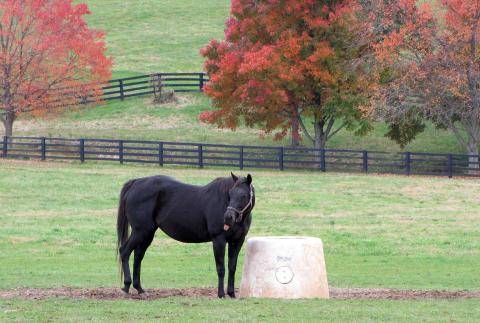 Stonestreet Farms scenics