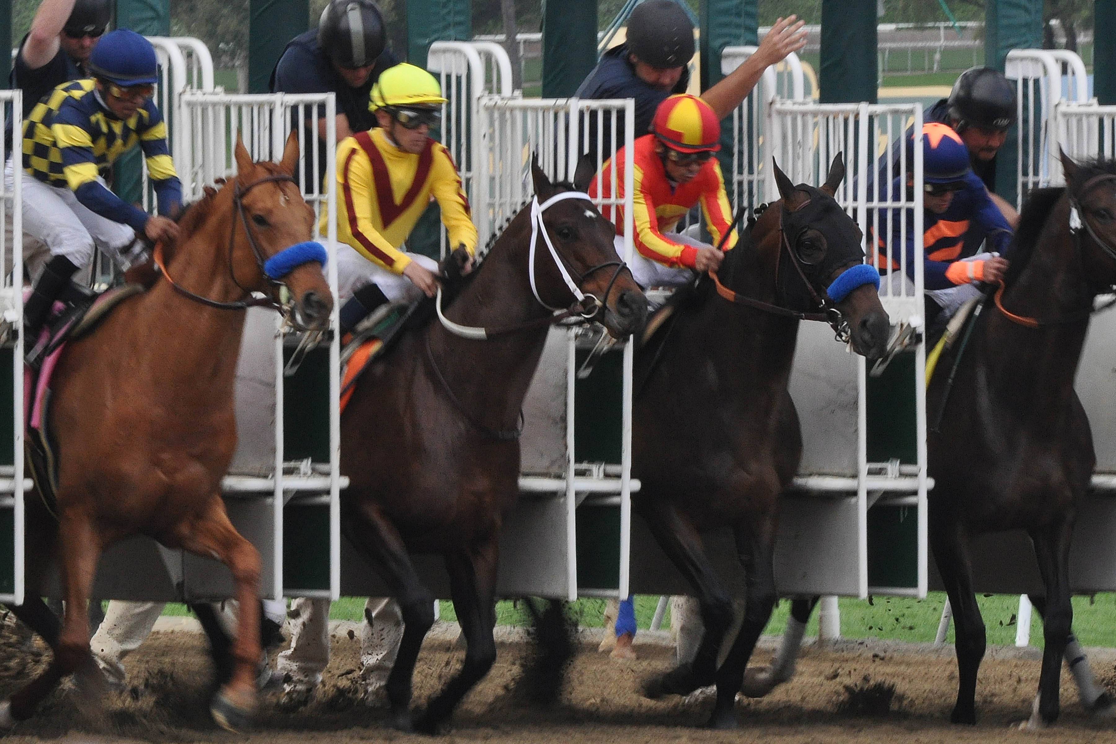 Racing Stable Scenics, Stonestreet Farm