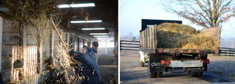 Mucking out Stalls, 2014 Stonestreet Farm