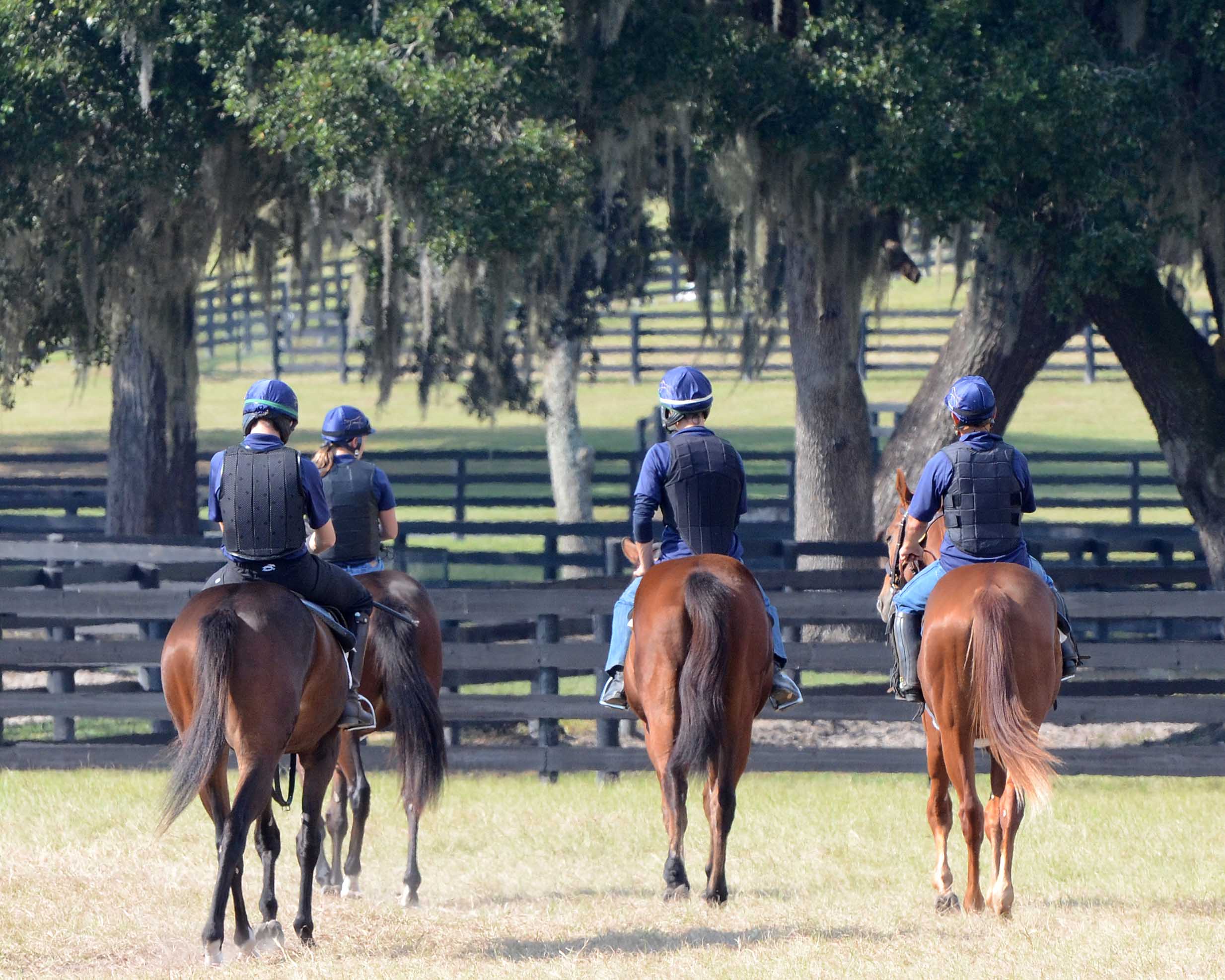 Two-Year-Olds training, Stonestreet Training Center 2015, 2 year old