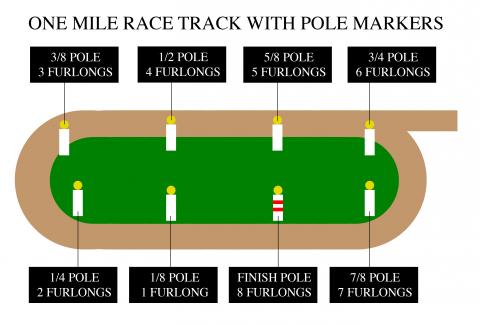 RaceTrackwithPoles